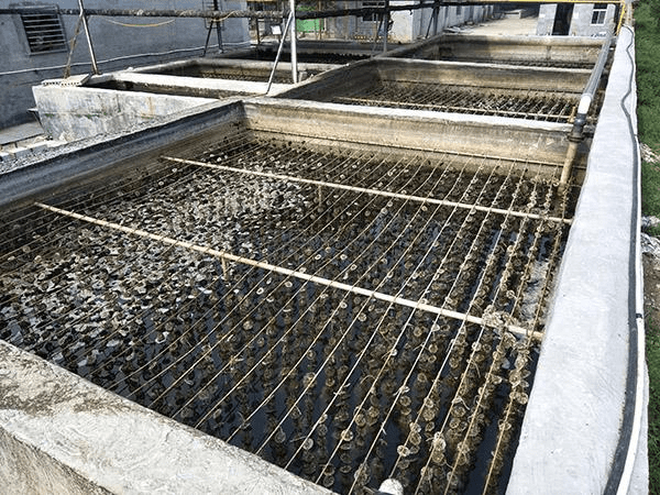 污水處理消泡劑使用場(chǎng)景